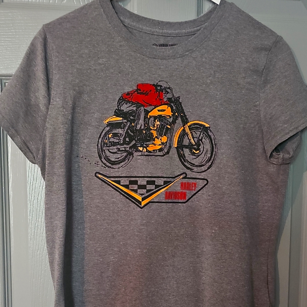 Harley Davidson Gray Graphic T-Shirt